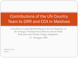Contributions of the UN Country Team to DRR and