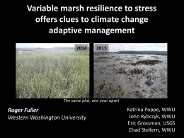 Variable marsh resilience to stress offers clues to