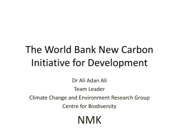 The World Bank New Carbon Initiative for Development