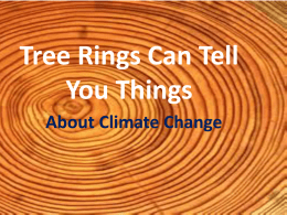 Tree Rings Can Tell You Things