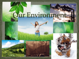 Ecological organizations