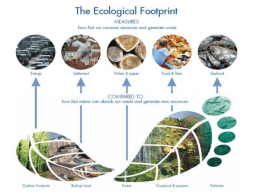 What are ecological footprints?