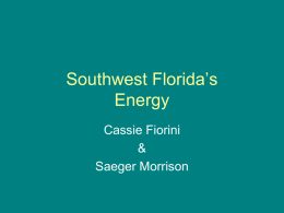 Southwest Florida*s Energy