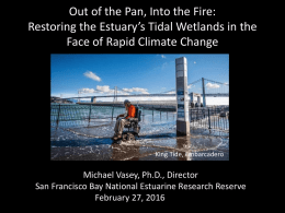 Out of the Pan and into the Fire: Restoring the San Francisco