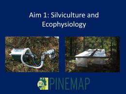 Aim 1: Silviculture and Ecophysiology