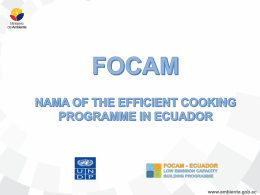 NAMA of the efficient cooking programme in Ecuador