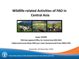 Introduction to projects on sustainable wildlife management