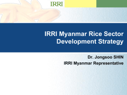 Dr. Jongsoo Shin, IRRI Myanmar Representative