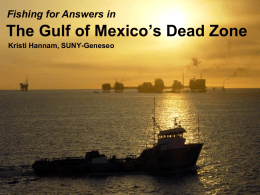 Gulf Of Mexico PPT