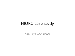 Economics - NIORO Case Study