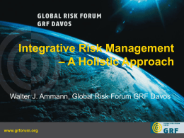 Integrative Risk Management - Resilient Cities