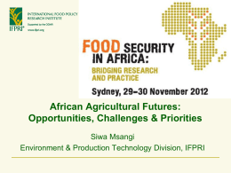 African Agricultural Futures