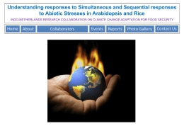 Understanding responses to Simultaneous and Sequential