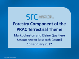 Forestry Component of the PRAC Terrestrial Theme