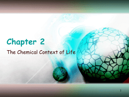 Chemical Context of Life