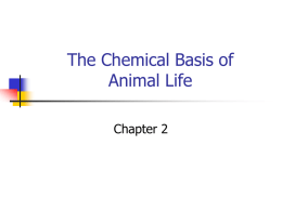 The Chemical Basis of Animal Life