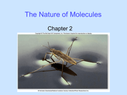 The Nature of Molecules chapt02_lecture