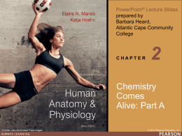 Chapter 2 ppt A
