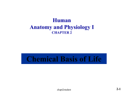 Chapter 2 Chemical Basis of Life