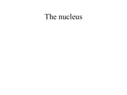 The nucleus - VCE Chemistry
