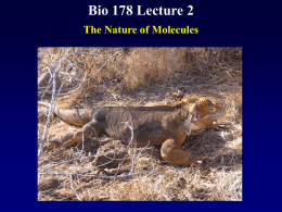 Biol 178 Lecture 2