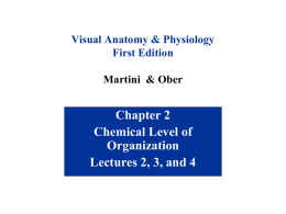 Hole Chapter 2 - Chemical Basis of Life