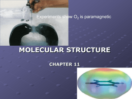 Chapter 11 - Lecture 1