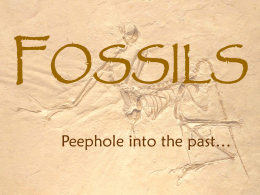 Fossils_GeoTime_2016x