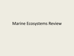 Marine Ecosystems Review - Bishop Moore High School