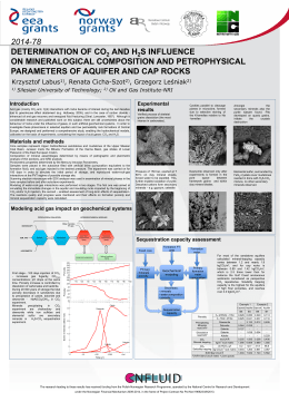 Poster - DETERMINATION OF CO2 AND H2S INFLUENCE11
