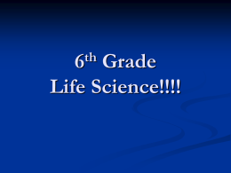 6th Grade Science Review