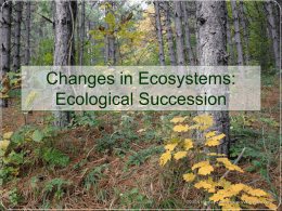 Ecological Succession - This is Worley Science