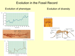 Evolution in the Fossil Record Chapter 4
