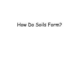 How Do Soils Form? - Hicksville Middle School