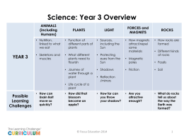 Science: Year 3 Overview