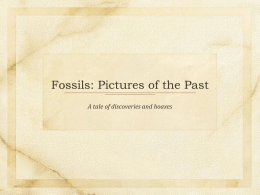 Fossil History