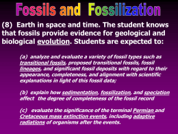 (8) Earth in space and time. The student knows that fossils provide