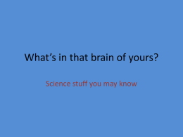 What`s in that brain of yours?