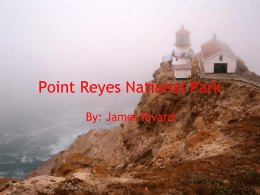 Point Reyes National Park