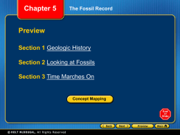 Section 1 Geologic History Chapter 5
