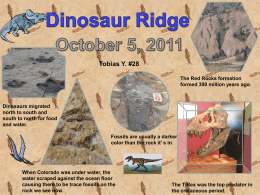 Toby`s Dinosaur Ridge Project