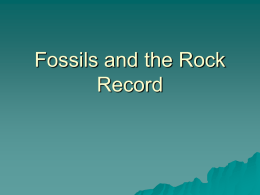 Fossils and Rock Record PowerPoint