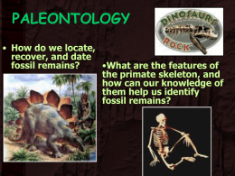 Lecture: Fossils and Comparative Anatomy