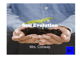 Soil Evolution