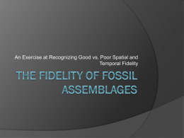 Fossil Assemblage Characteristics