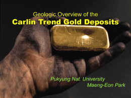Carlin type Gold Deposits