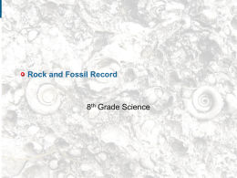 Fossils The Fossil Record and Geologic Time Scale