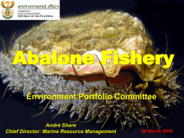 Abalone Fishery