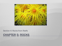 Chapter 5: Rocks