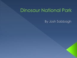 Dinosaur national monument